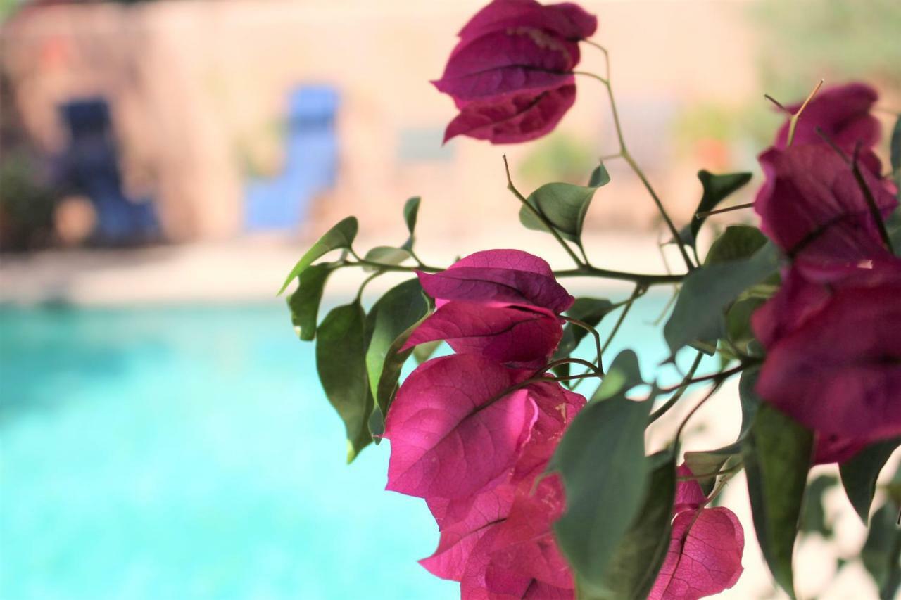 Adobe Rose Inn Τούσον Εξωτερικό φωτογραφία